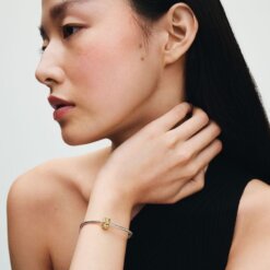 Knutna hjärtan, clipberlock