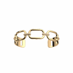 Les Georgettes Chaîne Armband 14 mm – Guldpläterat med Zirkoner