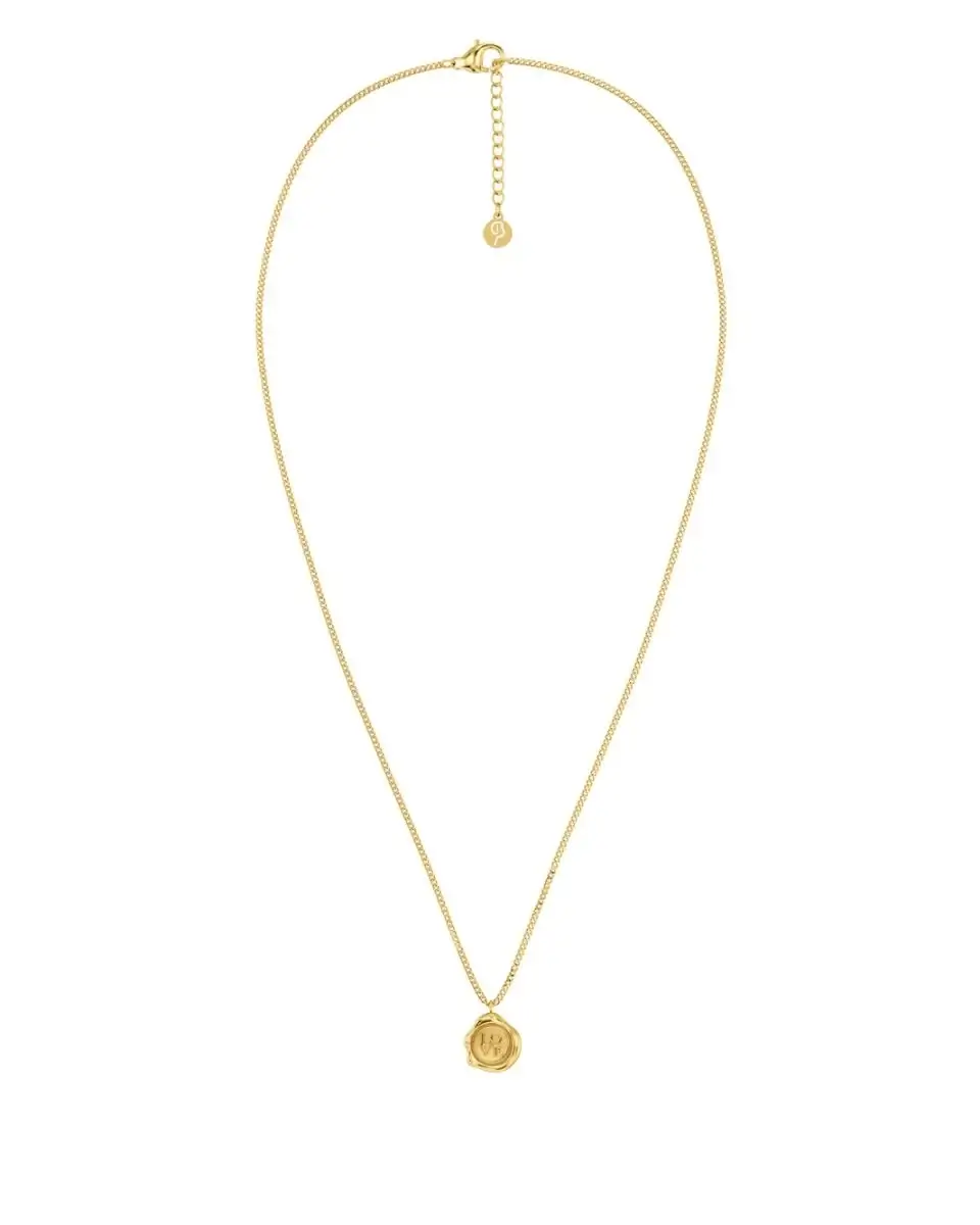 Närbild på Holly Necklace S Gold sigillhänge i guldplätering