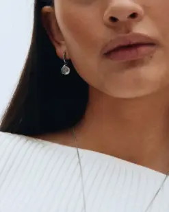 Holly Hoops Steel – rostfria hoops från Edblad, närbild