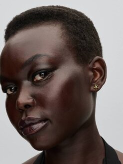 Stiftörhängen sjöstjärna detalj guldfärg