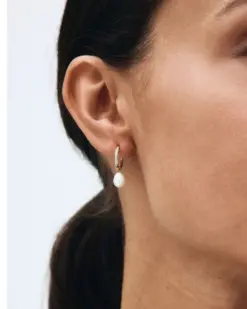 Edblad Perla Hoops Sparkle Gold örhängen med sötvattenpärla och glittrande cubic zirconia