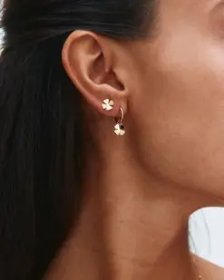 Lucky Mini studs i guld från Edblad med stiliserad fyrklöver