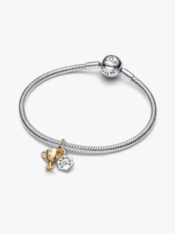 Pandora trofé berlock disc baksida gravyryta – personlig text sterlingsilver CHAMPION sport present